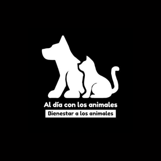 Al día con los animales