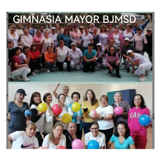 Gimnasia Mayor