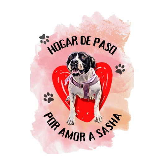 Por amor a Sasha