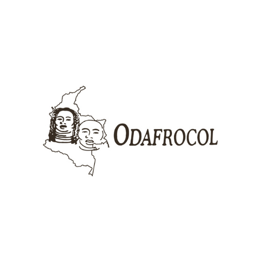 ODAFROCOL (ORGANIZACION PARA EL DESARROLLO AFROCOLOMBIANO)